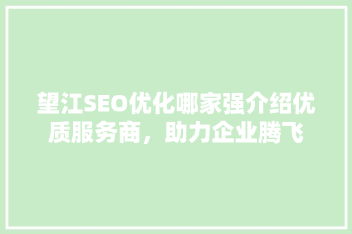 望江SEO优化哪家强介绍优质服务商，助力企业腾飞  第1张