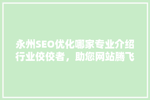 永州SEO优化哪家专业介绍行业佼佼者，助您网站腾飞！