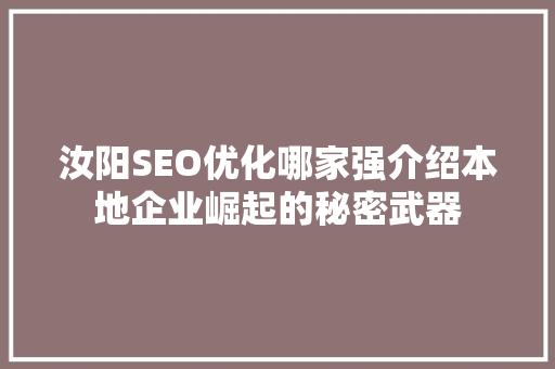 汝阳SEO优化哪家强介绍本地企业崛起的秘密武器