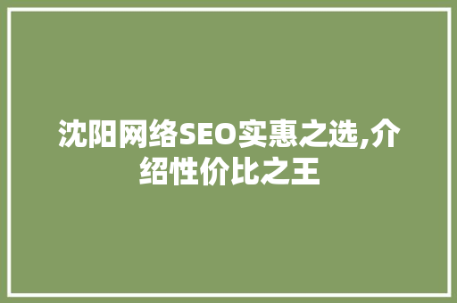沈阳网络SEO实惠之选,介绍性价比之王