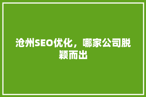 沧州SEO优化，哪家公司脱颖而出
