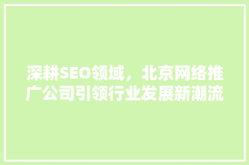 深耕SEO领域，北京网络推广公司引领行业发展新潮流  第1张
