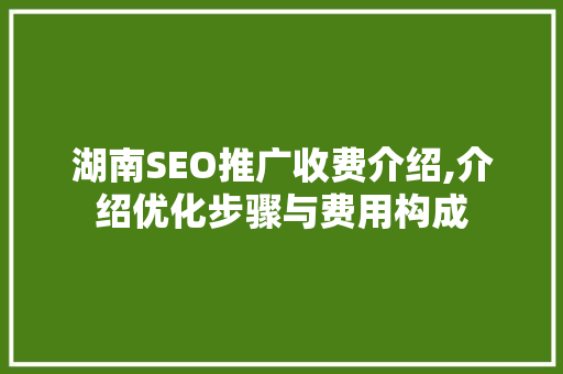 湖南SEO推广收费介绍,介绍优化步骤与费用构成