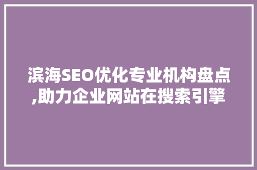 滨海SEO优化专业机构盘点,助力企业网站在搜索引擎中脱颖而出  第1张