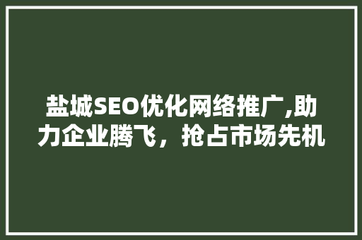 盐城SEO优化网络推广,助力企业腾飞，抢占市场先机