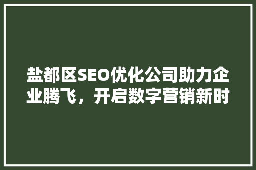 盐都区SEO优化公司助力企业腾飞，开启数字营销新时代  第1张