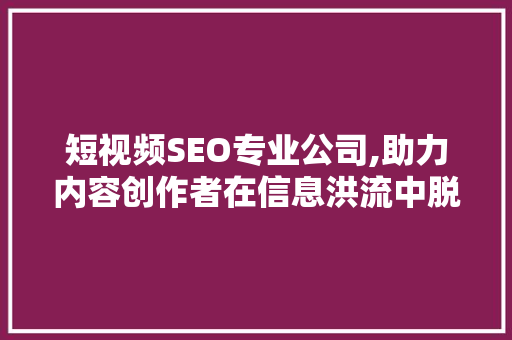 短视频SEO专业公司,助力内容创作者在信息洪流中脱颖而出