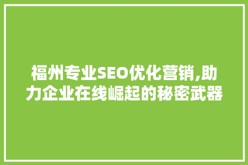 福州专业SEO优化营销,助力企业在线崛起的秘密武器