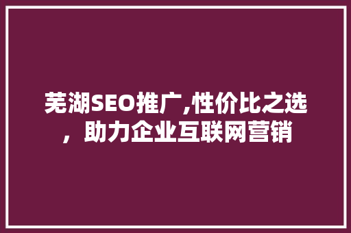芜湖SEO推广,性价比之选，助力企业互联网营销