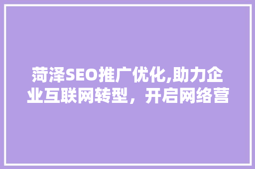菏泽SEO推广优化,助力企业互联网转型，开启网络营销新篇章