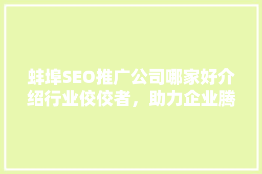 蚌埠SEO推广公司哪家好介绍行业佼佼者，助力企业腾飞