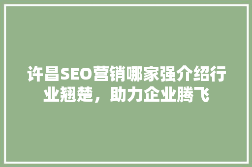 许昌SEO营销哪家强介绍行业翘楚，助力企业腾飞