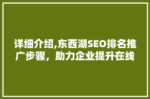 详细介绍,东西湖SEO排名推广步骤，助力企业提升在线竞争力