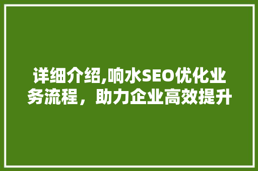 详细介绍,响水SEO优化业务流程，助力企业高效提升网络竞争力