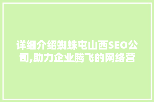 详细介绍蜘蛛屯山西SEO公司,助力企业腾飞的网络营销利器