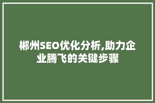 郴州SEO优化分析,助力企业腾飞的关键步骤