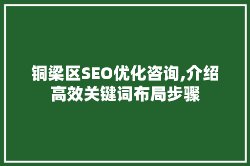 铜梁区SEO优化咨询,介绍高效关键词布局步骤