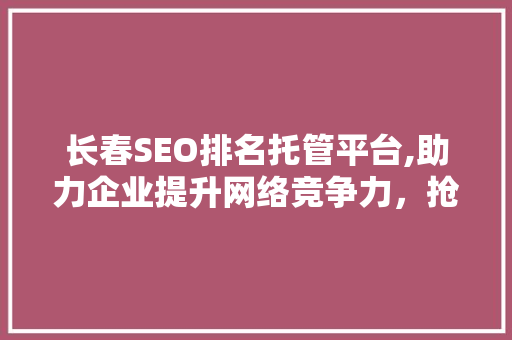 长春SEO排名托管平台,助力企业提升网络竞争力，抢占市场先机