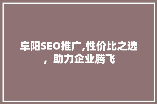 阜阳SEO推广,性价比之选，助力企业腾飞