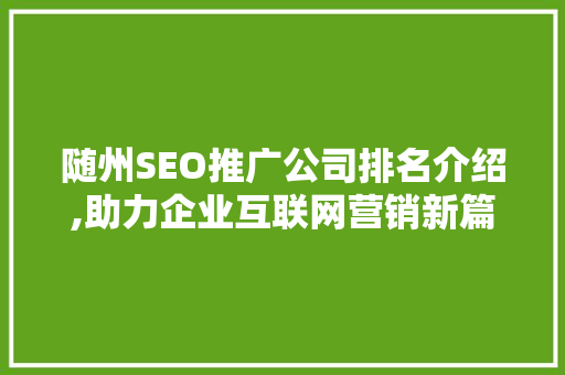 随州SEO推广公司排名介绍,助力企业互联网营销新篇章