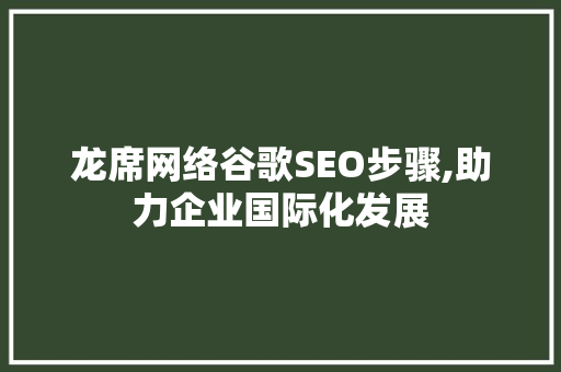 龙席网络谷歌SEO步骤,助力企业国际化发展