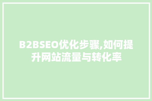 B2BSEO优化步骤,如何提升网站流量与转化率  第1张
