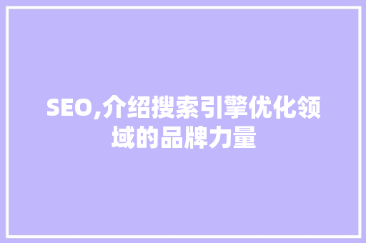 SEO,介绍搜索引擎优化领域的品牌力量