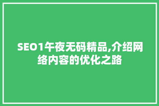 SEO1午夜无码精品,介绍网络内容的优化之路  第1张