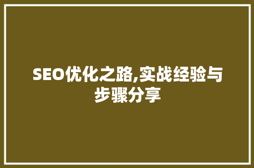 SEO优化之路,实战经验与步骤分享