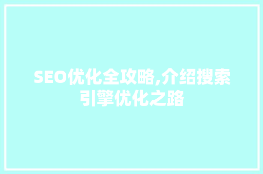 SEO优化全攻略,介绍搜索引擎优化之路