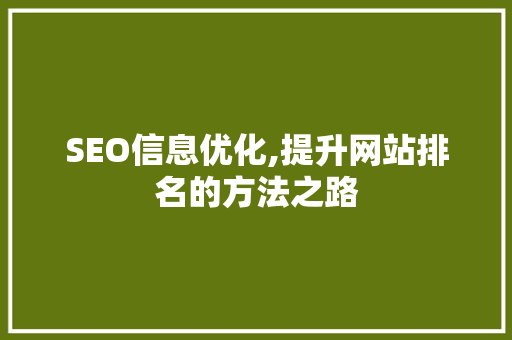 SEO信息优化,提升网站排名的方法之路  第1张