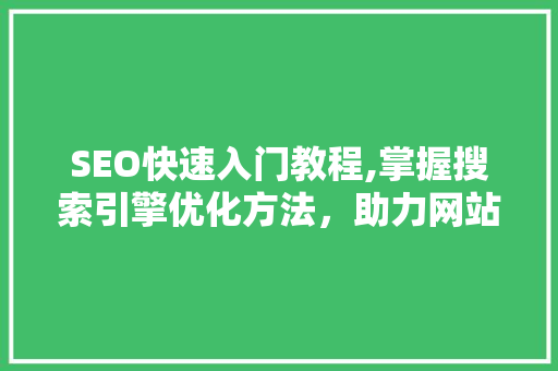 SEO快速入门教程,掌握搜索引擎优化方法，助力网站排名提升
