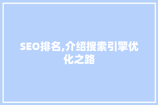SEO排名,介绍搜索引擎优化之路