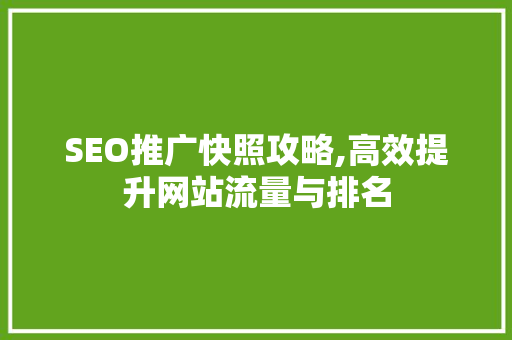 SEO推广快照攻略,高效提升网站流量与排名  第1张