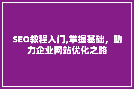 SEO教程入门,掌握基础，助力企业网站优化之路