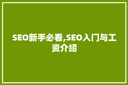 SEO新手必看,SEO入门与工资介绍