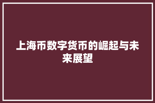上海币数字货币的崛起与未来展望