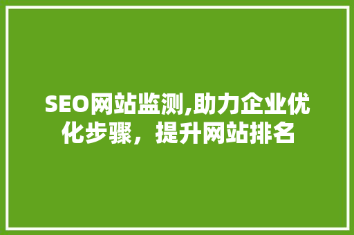 SEO网站监测,助力企业优化步骤，提升网站排名