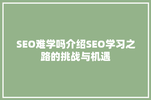 SEO难学吗介绍SEO学习之路的挑战与机遇  第1张