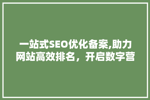 一站式SEO优化备案,助力网站高效排名，开启数字营销新篇章