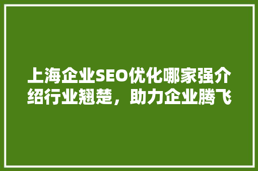 上海企业SEO优化哪家强介绍行业翘楚，助力企业腾飞