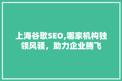 上海谷歌SEO,哪家机构独领风骚，助力企业腾飞