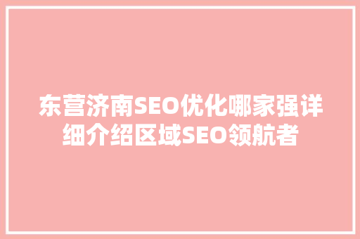 东营济南SEO优化哪家强详细介绍区域SEO领航者
