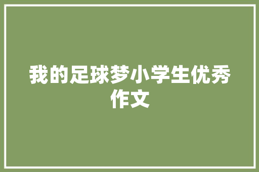 介绍SEO优化外包公司服务,助力企业网站流量翻倍的秘密武器