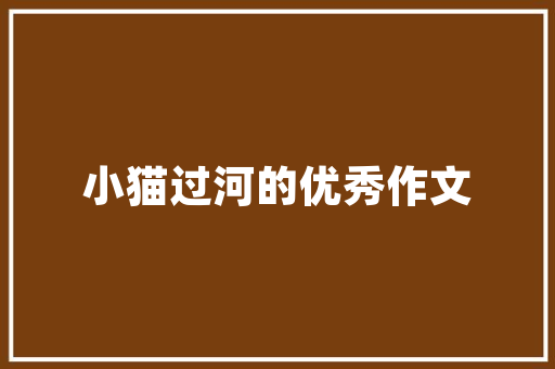 介绍SEO公司外包SEO顾问的优势与步骤