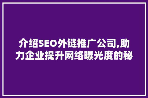 介绍SEO外链推广公司,助力企业提升网络曝光度的秘密武器