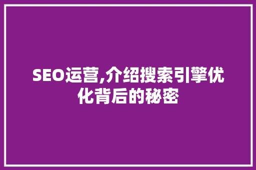 SEO运营,介绍搜索引擎优化背后的秘密