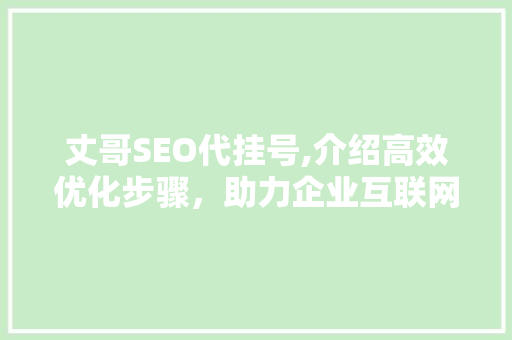丈哥SEO代挂号,介绍高效优化步骤，助力企业互联网营销新篇章