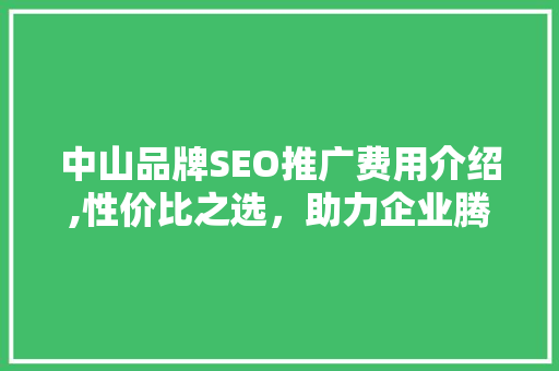 中山品牌SEO推广费用介绍,性价比之选，助力企业腾飞