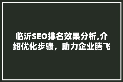 临沂SEO排名效果分析,介绍优化步骤，助力企业腾飞